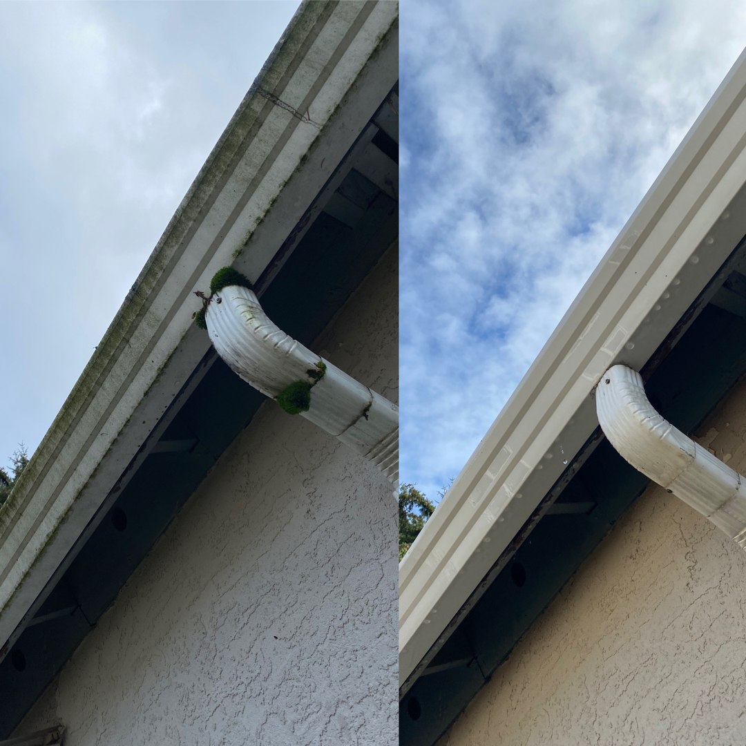 Before and after pressure washing