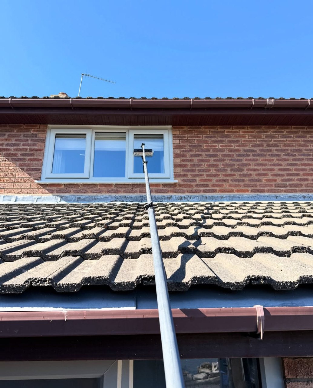 Professional cleaning results