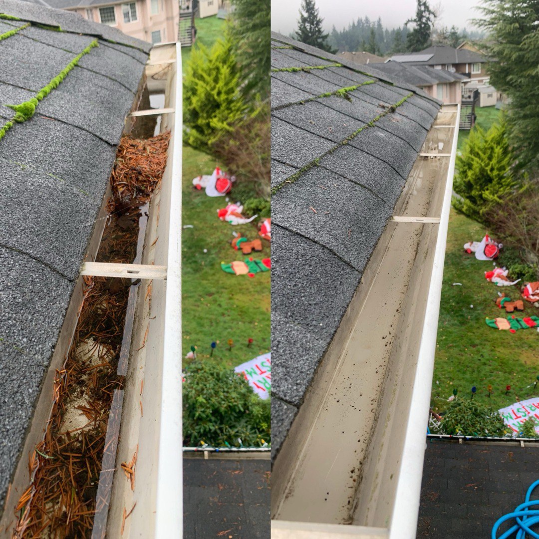 Before and after driveway cleaning